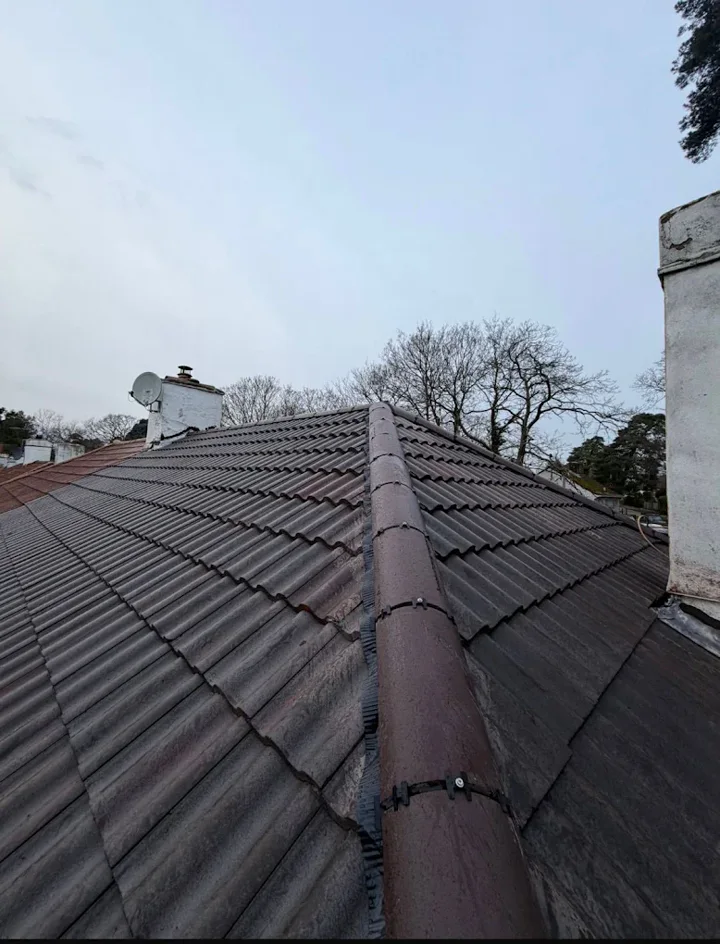 Dark tiled roof and ridge line — supplied photograph